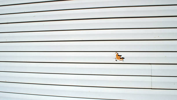 Historical Building Siding Restoration in Belmont, MS